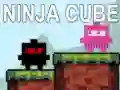 Igra Ninja Kocka spletu Igra Ninja Kocka spletu