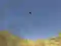 Igra Tukan Streljač spletu Igra Tukan Streljač spletu