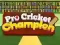 Igra Pro Kriket Šampion spletu