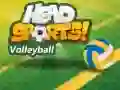 Igra Odbojka Head Sports spletu Igra Odbojka Head Sports spletu