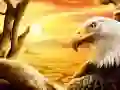 Igra Orel spletu Igra Orel spletu