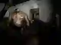 Igra Tiho Zavetišče spletu Igra Tiho Zavetišče spletu