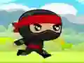 Igra Ninja spletu Igra Ninja spletu