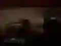 Igra Grozljivo Džungelsko Safari spletu Igra Grozljivo Džungelsko Safari spletu