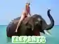 Igra Sestavljanka Slonov spletu Igra Sestavljanka Slonov spletu