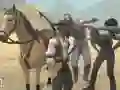 Igra Simulator Jahanja spletu
