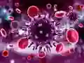 Igra Kovanec Puzzle spletu Igra Kovanec Puzzle spletu