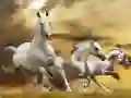 Igra Drseči Konj spletu