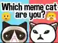 Igra Katera meme mačka si? spletu Igra Katera meme mačka si? spletu