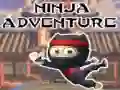 Igra Ninja Pustolovščina spletu Igra Ninja Pustolovščina spletu