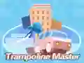 Igra Mojster trampolina spletu Igra Mojster trampolina spletu