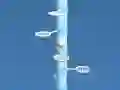Igra Jajčna Heliksa spletu Igra Jajčna Heliksa spletu