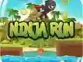 Igra Ninja Tek spletu Igra Ninja Tek spletu