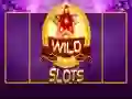 Igra Divji Slot spletu Igra Divji Slot spletu