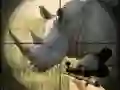 Igra Divji nosorog lovec spletu Igra Divji nosorog lovec spletu