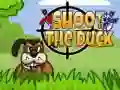 Igra Streli račjo spletu
