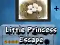 Igra Pobeg male princese spletu Igra Pobeg male princese spletu