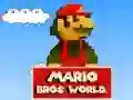 Igra Mario Bros Svet spletu