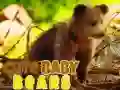 Igra Cute Mali Medvedi spletu Igra Cute Mali Medvedi spletu