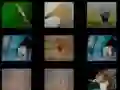 Igra Živalska Spomin spletu Igra Živalska Spomin spletu