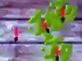 Igra Pohodi Mravlje spletu Igra Pohodi Mravlje spletu