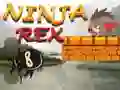 Igra Ninja Rex spletu Igra Ninja Rex spletu