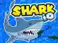 Igra Shark.io spletu Igra Shark.io spletu