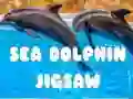 Igra Uganka Morski Delfin spletu