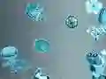 Igra Detektiv Nalepk spletu Igra Detektiv Nalepk spletu