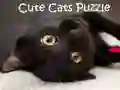 Igra Cute Mačke: Uganke spletu Igra Cute Mačke: Uganke spletu