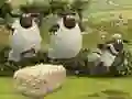 Igra Shaun, ovca: Tuji atlet spletu Igra Shaun, ovca: Tuji atlet spletu