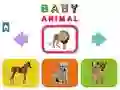 Igra Baby Žival spletu Igra Baby Žival spletu