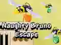 Igra Bež Bruna spletu Igra Bež Bruna spletu