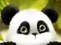 Igra Panda Drsanje spletu Igra Panda Drsanje spletu