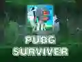 Igra PUBG Preživele spletu Igra PUBG Preživele spletu