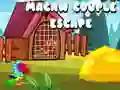 Igra Pobeg para ara spletu Igra Pobeg para ara spletu