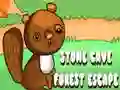 Igra Pobeg iz kamnite jame spletu Igra Pobeg iz kamnite jame spletu