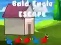 Igra Beg Bald Eagle spletu Igra Beg Bald Eagle spletu