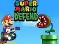 Igra Super Mario Obramba spletu