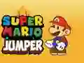 Igra Super Mario Skakalec spletu Igra Super Mario Skakalec spletu