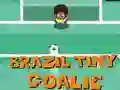 Igra Brazilija Mali Vratar spletu