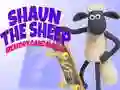 Igra Shaun Ovca: Igra Spomina spletu Igra Shaun Ovca: Igra Spomina spletu