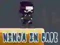 Igra Ninja v Plašču spletu