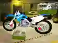 Igra Dostava hišnih ljubljenčkov s motociklom spletu