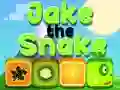 Igra Jake Kača spletu Igra Jake Kača spletu