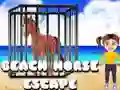 Igra Pobeg s plažnim konjem spletu Igra Pobeg s plažnim konjem spletu