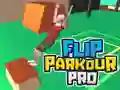 Igra Flip Parkour Pro spletu Igra Flip Parkour Pro spletu