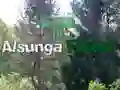 Igra Povratek v gozd Alsunga spletu Igra Povratek v gozd Alsunga spletu