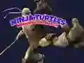 Igra Igra spomina Ninja želv spletu