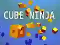 Igra Kockasti Nindža spletu Igra Kockasti Nindža spletu